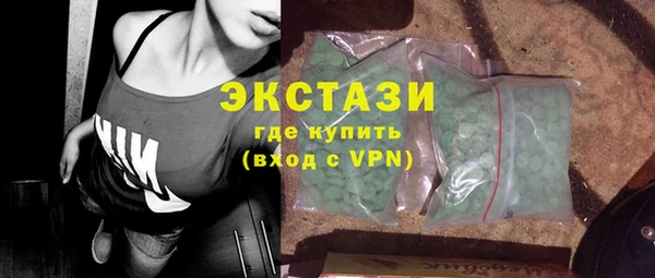 хмурый Алексин