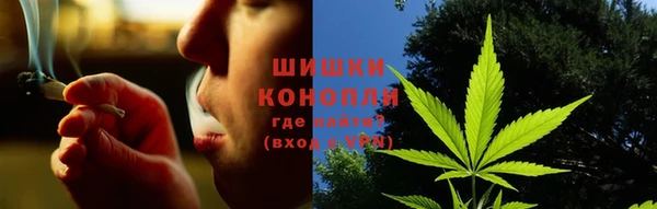 ПСИЛОЦИБИНОВЫЕ ГРИБЫ Алзамай