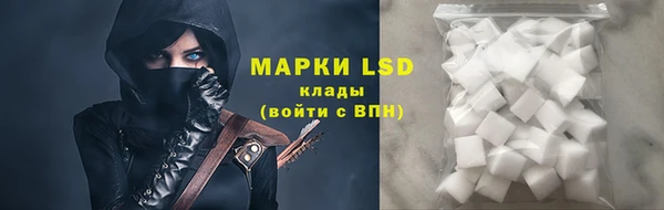 хмурый Алексин