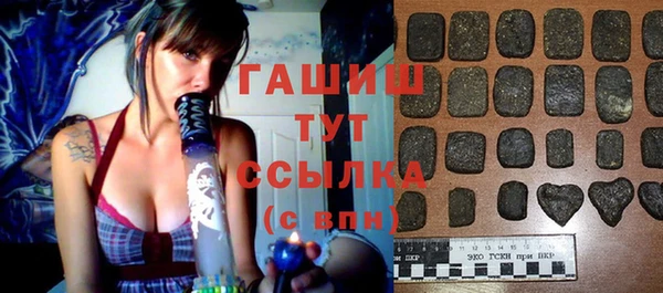 хмурый Алексин