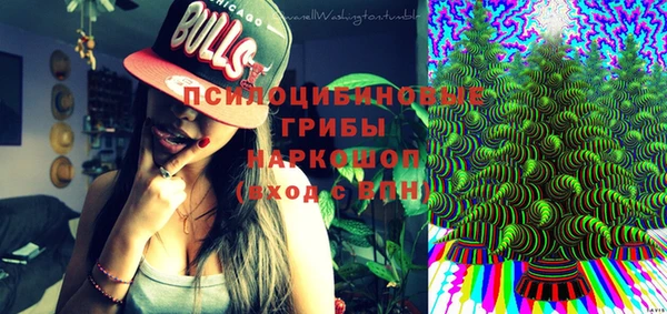 ПСИЛОЦИБИНОВЫЕ ГРИБЫ Алзамай