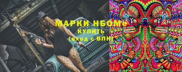 хмурый Алексин