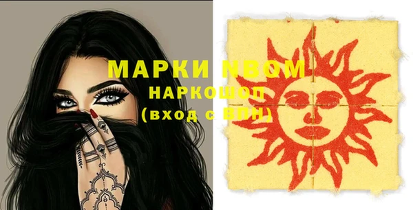 хмурый Алексин