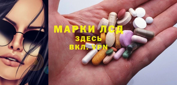 хмурый Алексин