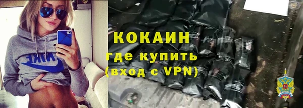хмурый Алексин