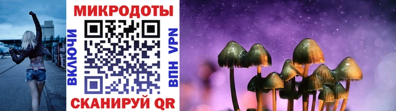 mega как зайти  цены наркотик  Ветлуга  Галлюциногенные грибы мухоморы 